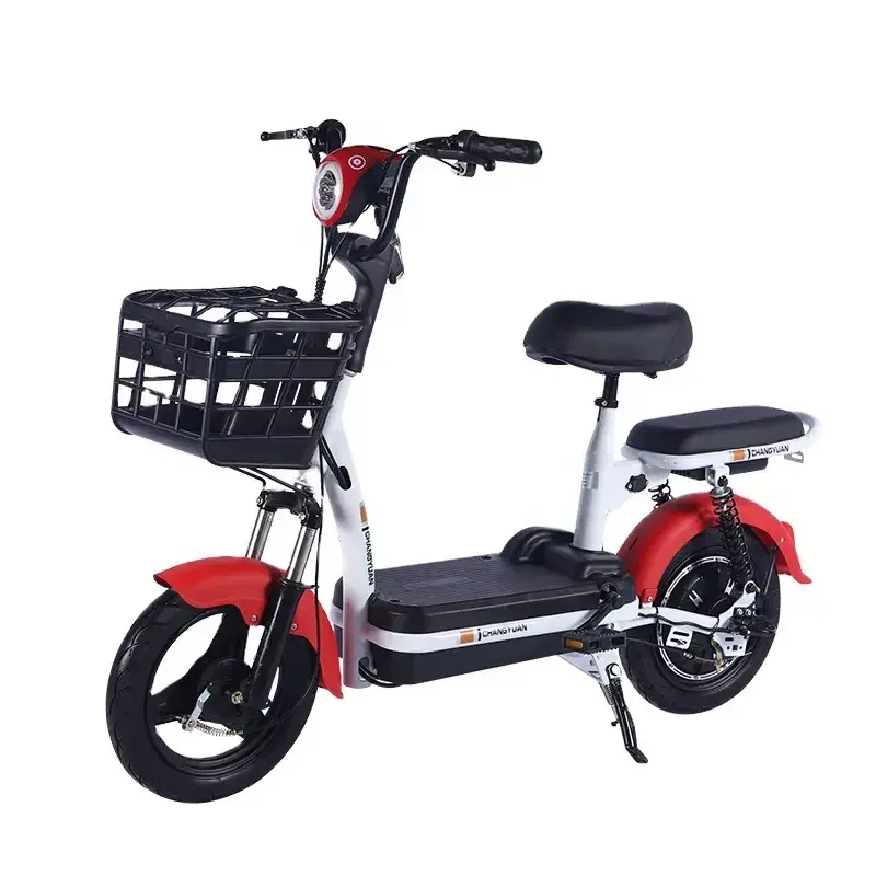 Moto Electrica